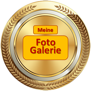 _myblog/myblog-img/myblog-galeriefoto-02.png
